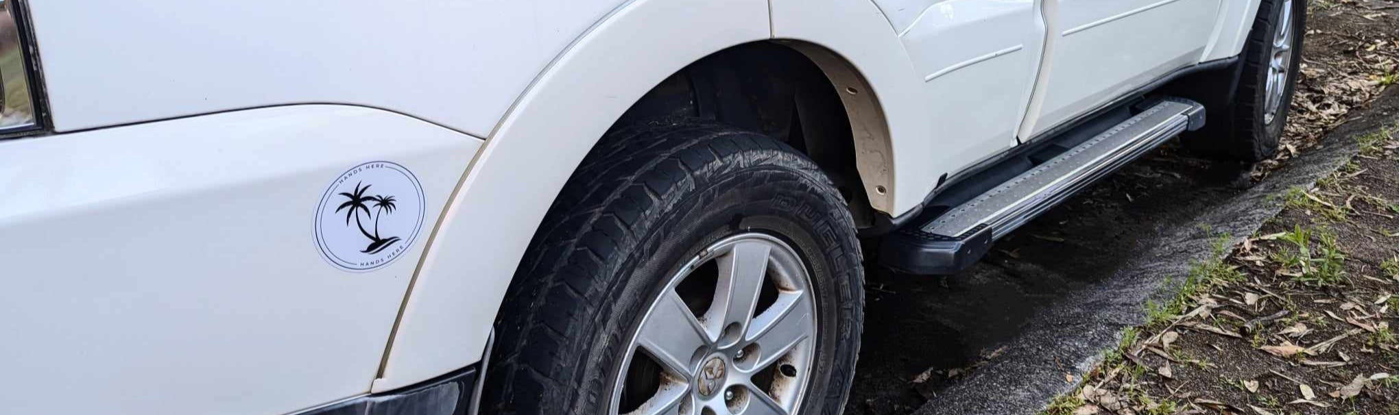White Palm Decal on white car above and to left of wheel arch showing decal in relation to length of vehicle